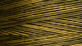 Weeks Dye Works Floss 2197a Pickled Okra-5yds