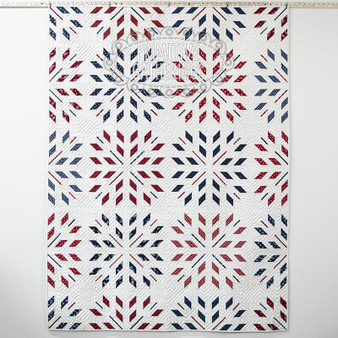 Bursting with Pride Quilt Kit PREORDER ($131.75)