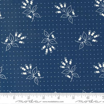 American Gatherings II 49240 13 One Yard