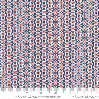 American Gatherings II 49245 11 One Yard