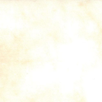 108" Primitive Muslin 11070 21 One Yard